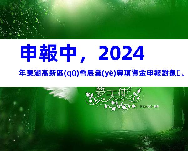 申報中，2024年東湖高新區(qū)會展業(yè)專項資金申報對象、條件